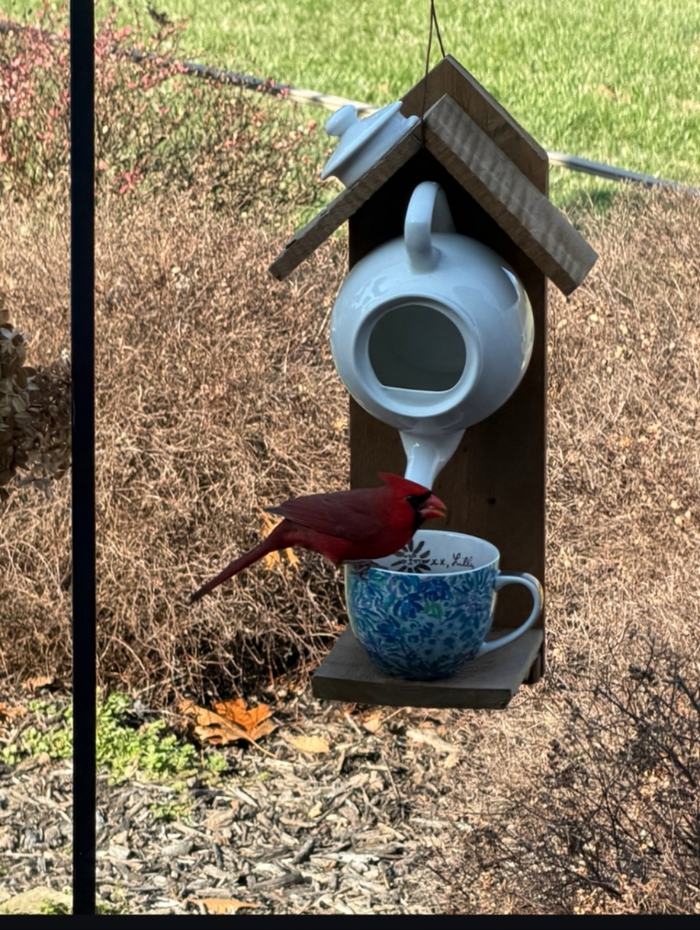 Rustic Wooden Handmade Bird Feeder Teapot Sunshine Yellow - Picture 10 of 16